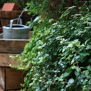 3* Hotel Garden